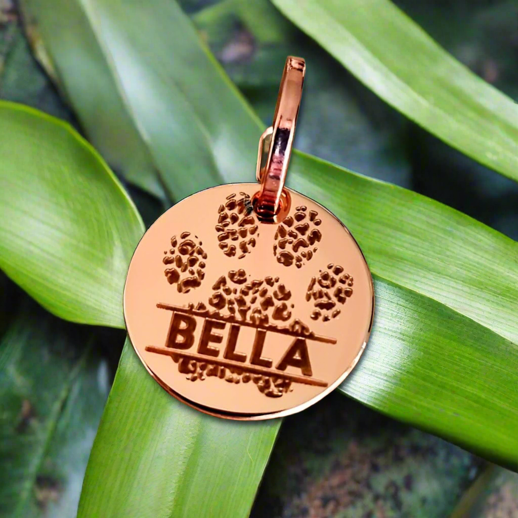 Dog name ID tag - Wild Paw