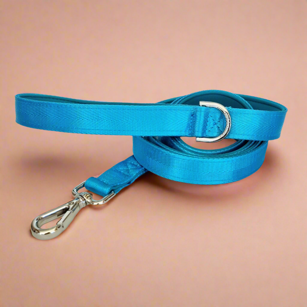 Blue dog lead 
