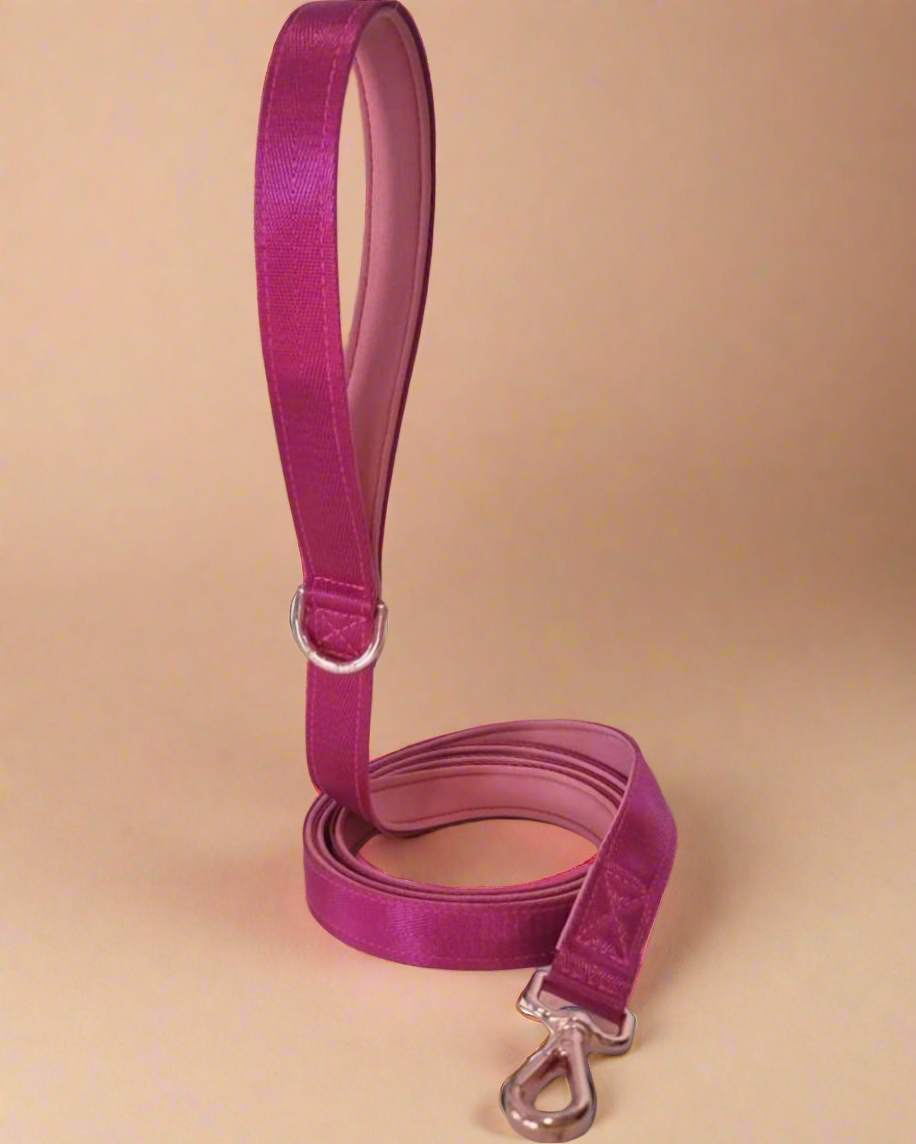 Pink dog leash with padded handle