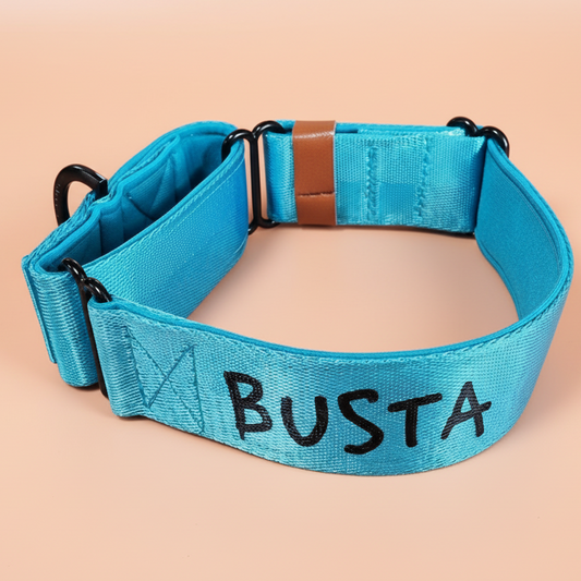 Custom martingale blue personalised with dogs name on it