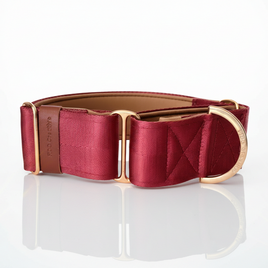 Red Wine martingale collar - neoprene padded