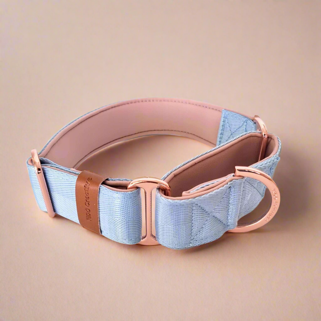 Light blue martingale dog collar 