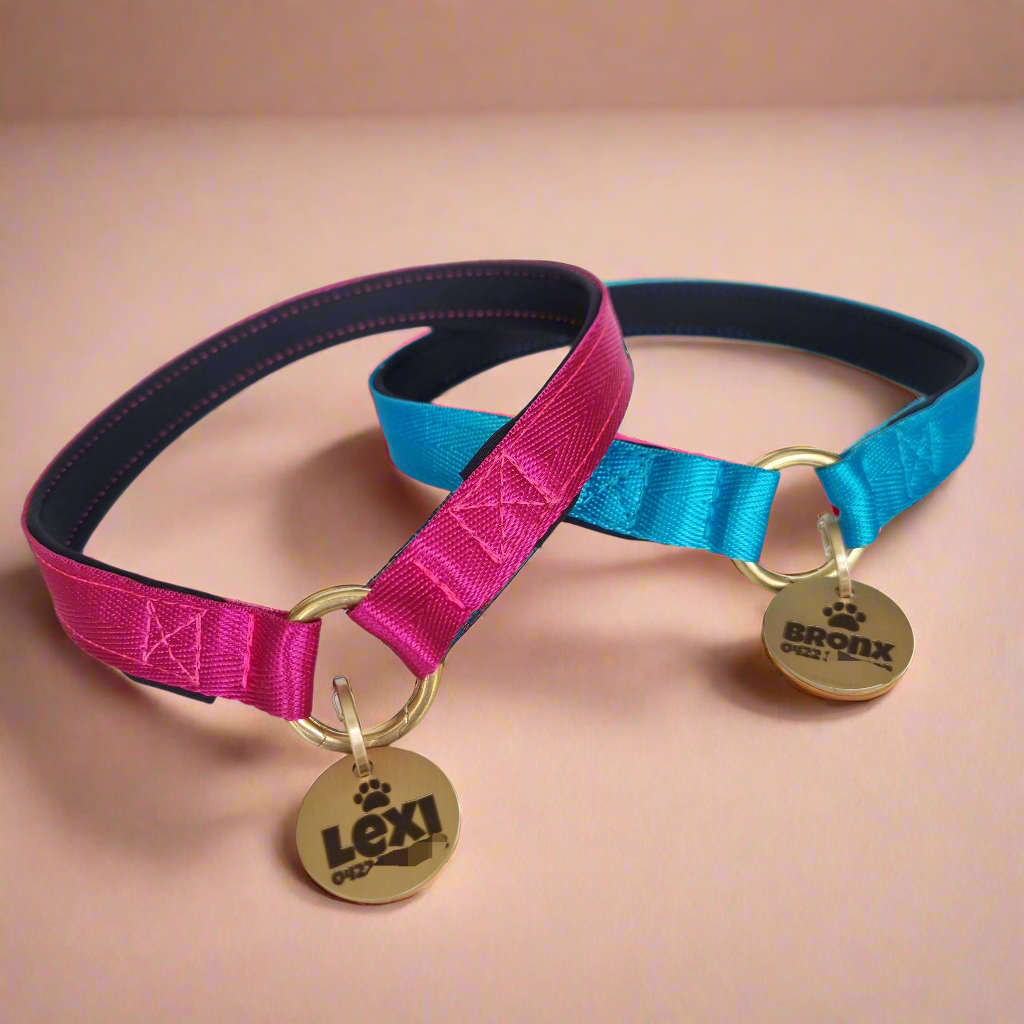 Clip Up House Collar, Padded for Comfort - Personalised Identification Dog Collar