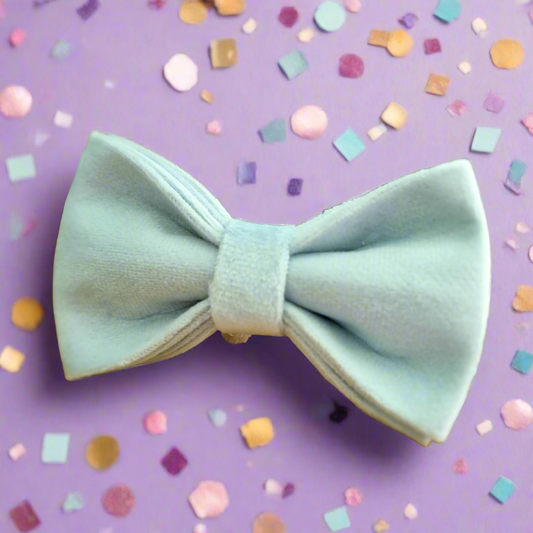 Light blue dog bow tie