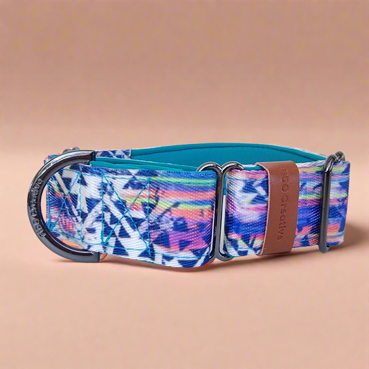Rainbow beach martingale dog collar