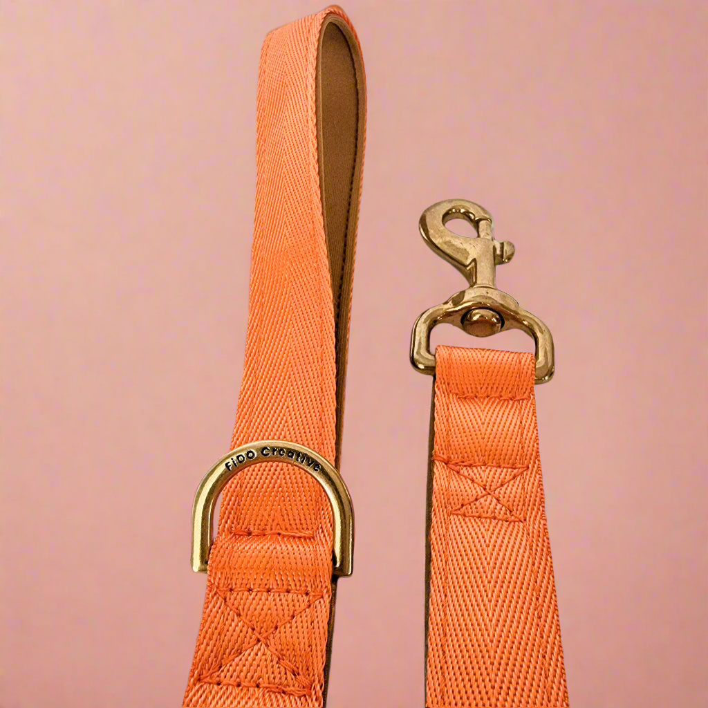 Orange dog leash 