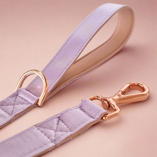 Lilac dreams dog leash - Neoprene Padded