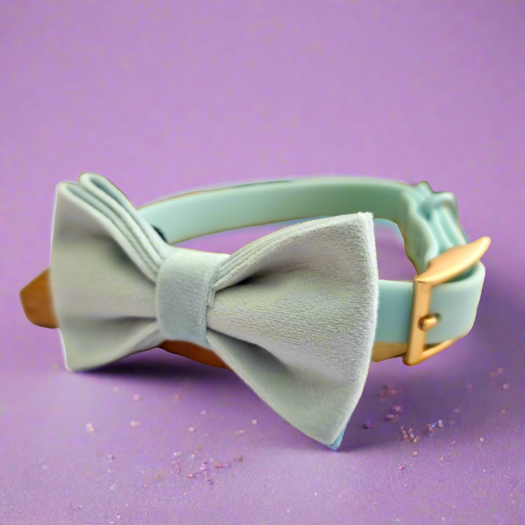 blue velvet dog bow tie