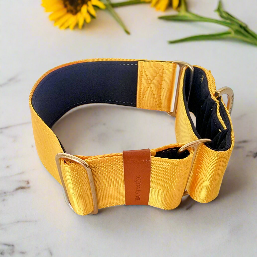 Yellow martingale collar