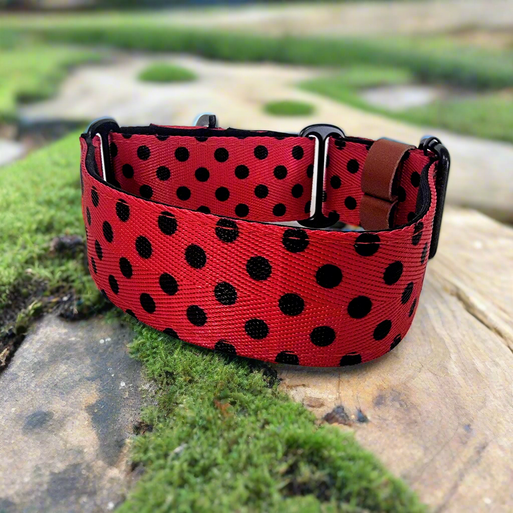 Ladybird martingale collar 