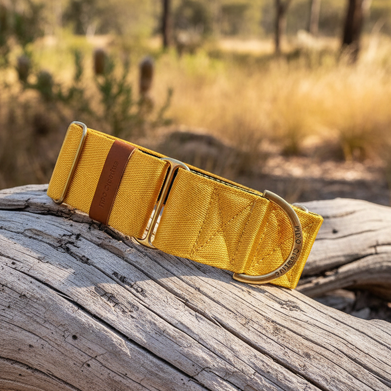 Yellow Martingale Dog Collar – Padded, personalised with Dog’s Name Optional