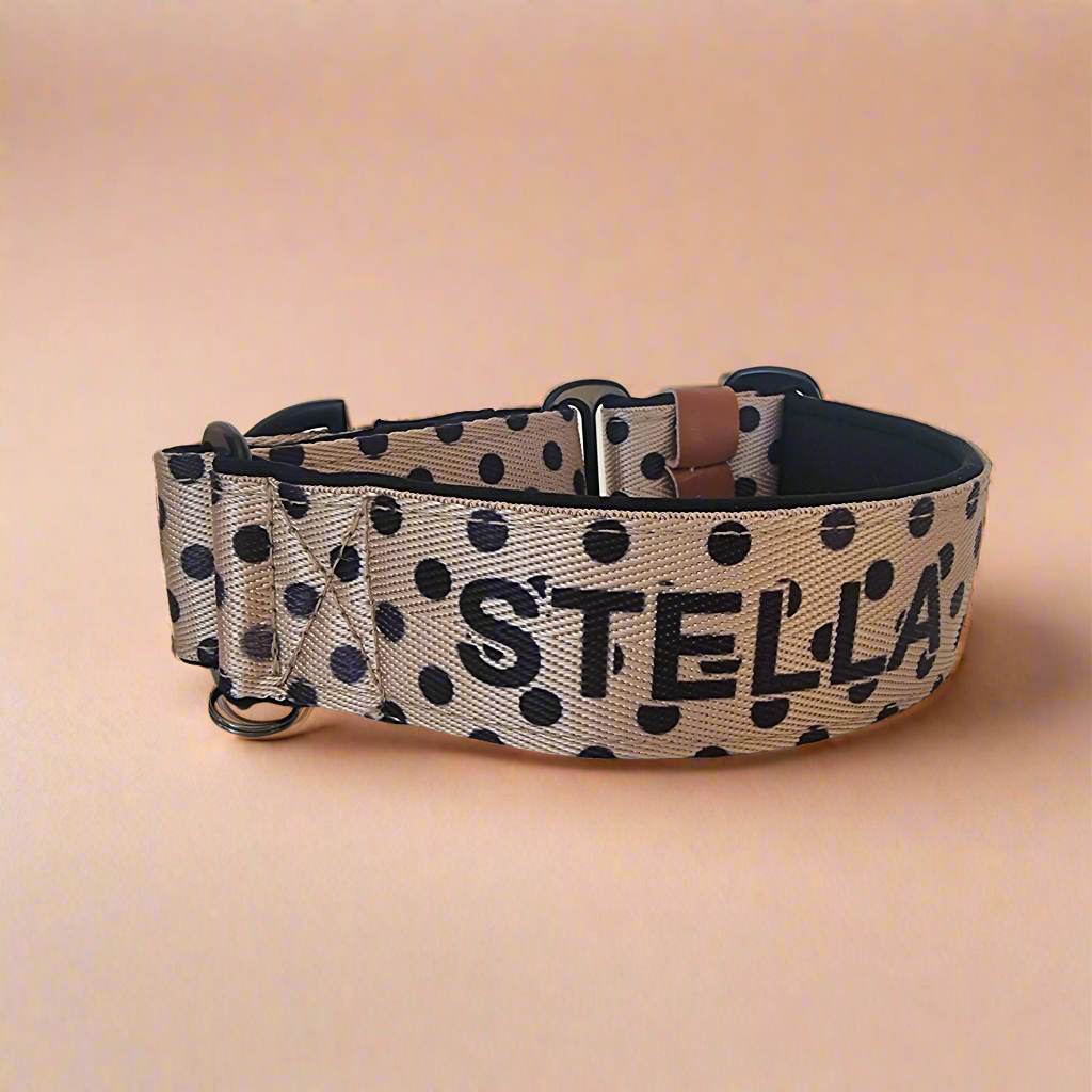 Polka dot Martingale Dog Collar – Padded, personalised with Dog’s Name Optional