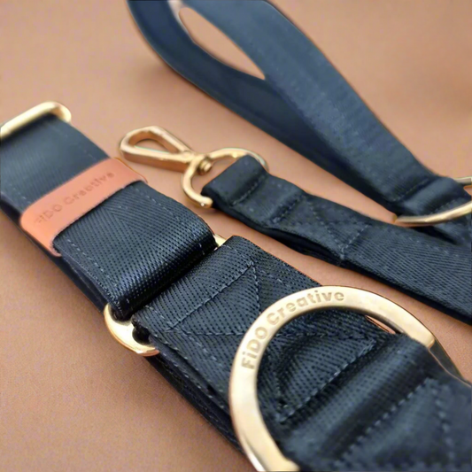 Black Martingale Dog Collar Padded for comfort, Durable for Training