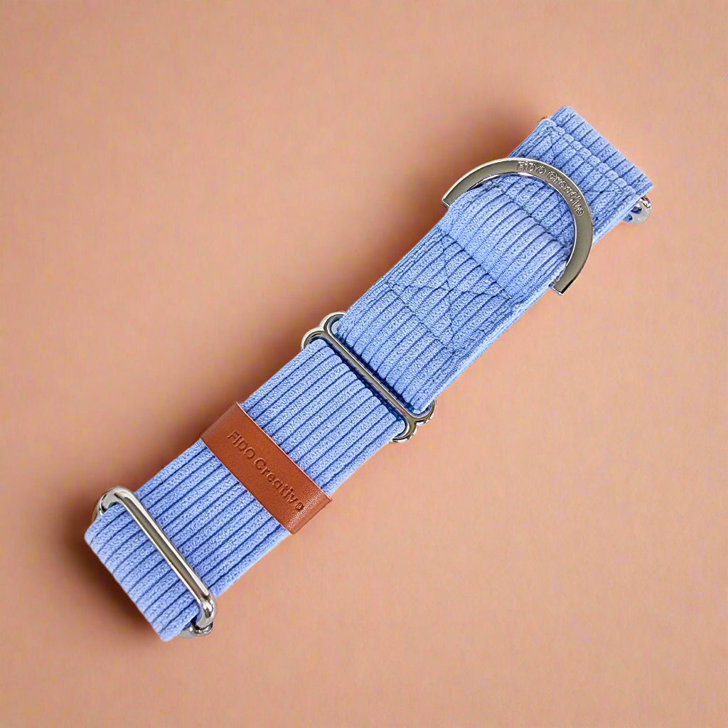 Blue martingale collar