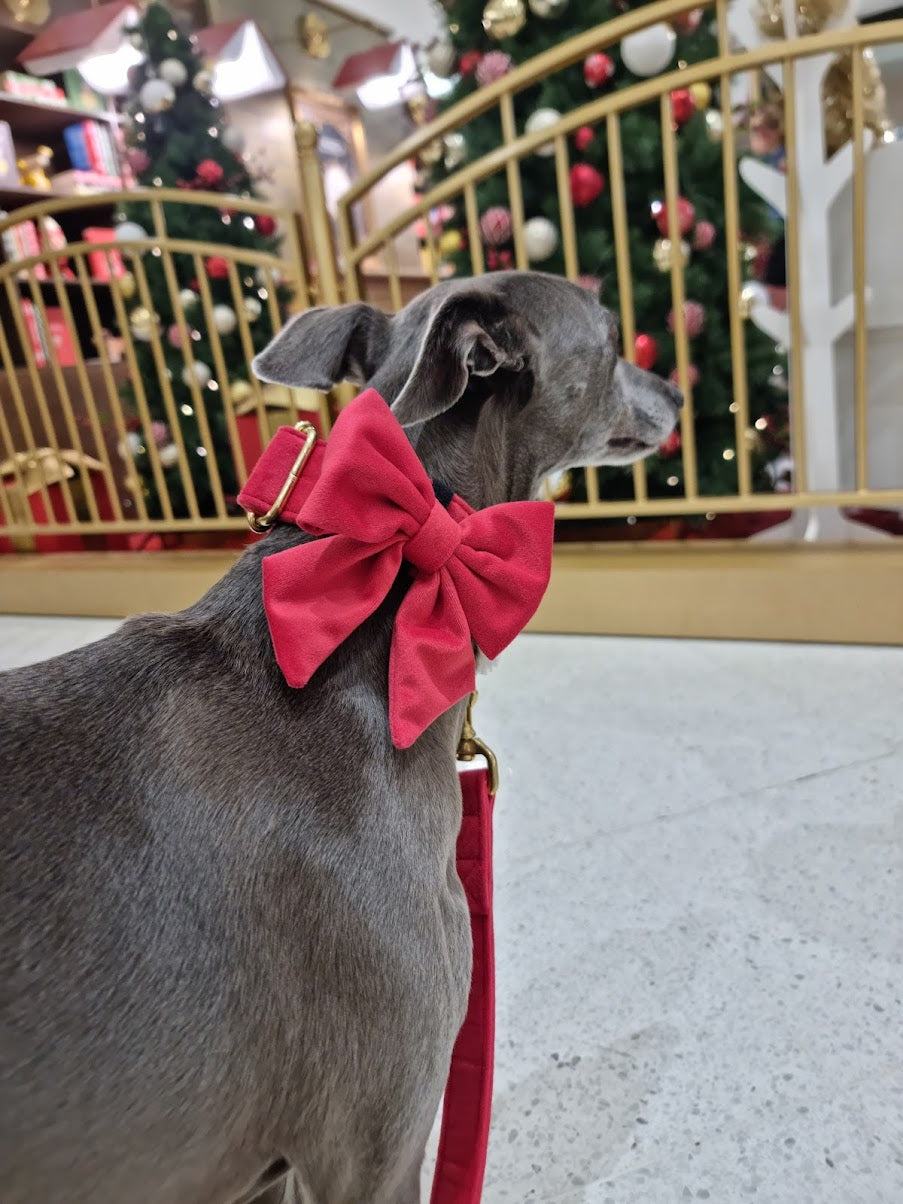 Red velvet dog bowtie