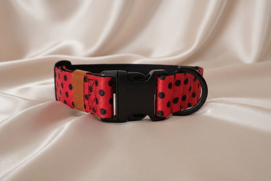 Red dog collar with black polka dots