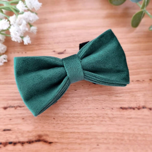 Forest green velvet dog bow tie