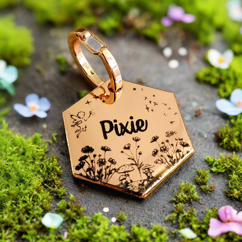 pixie artwork on hexagon pet ID tag