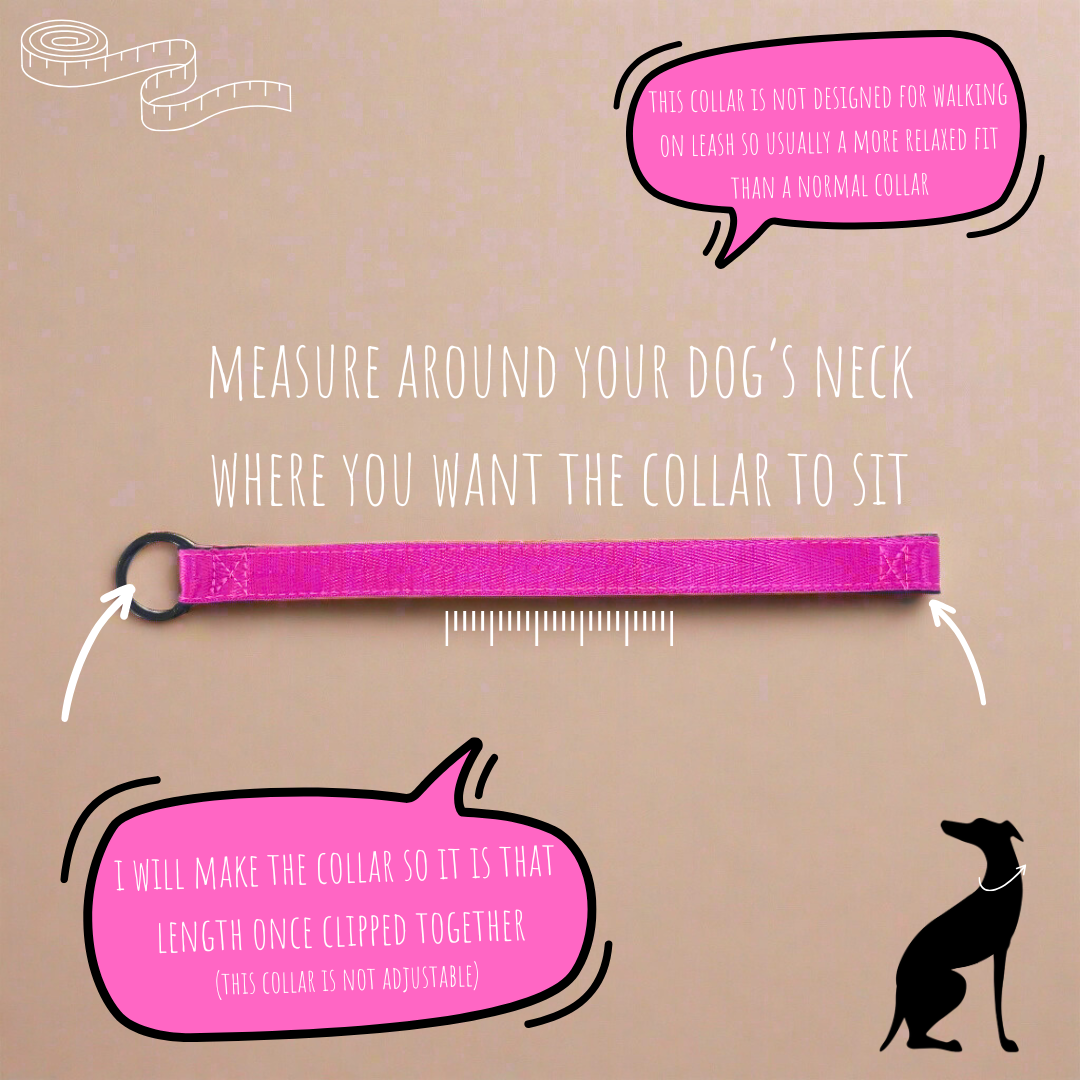 Custom house id dog collars