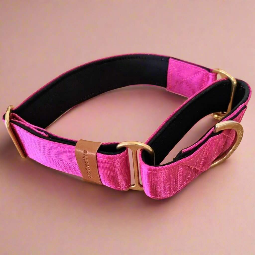 hot pink dog collar