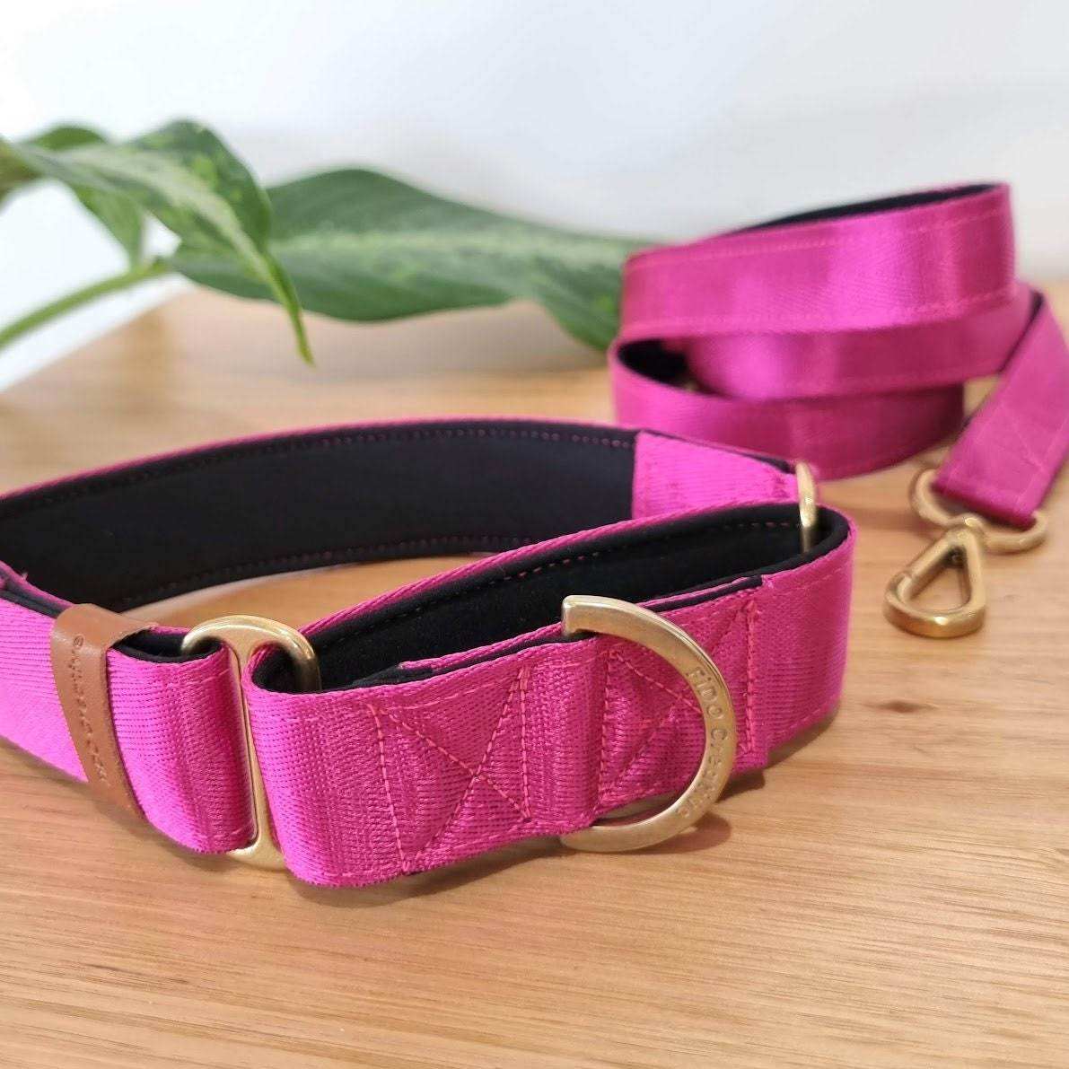 pink greyhound collar