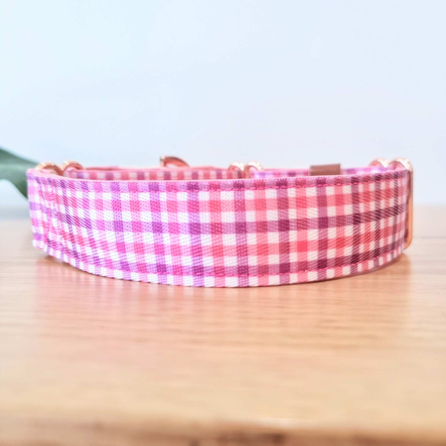 Girl martingale dog collar 