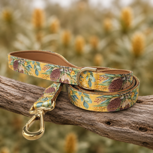 Mustard Dog Leash - Padded with Australian native Banksia