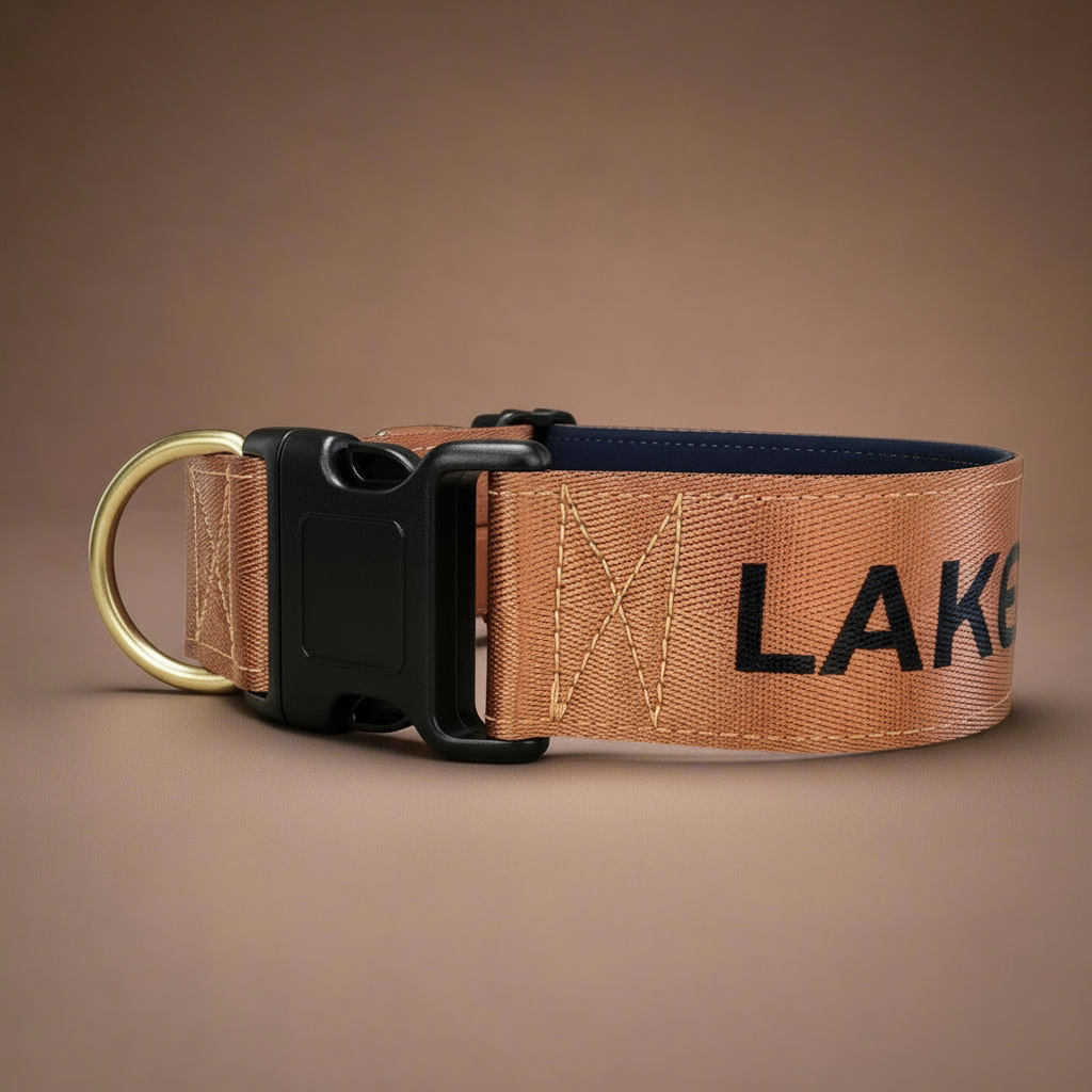 brown name dog collar