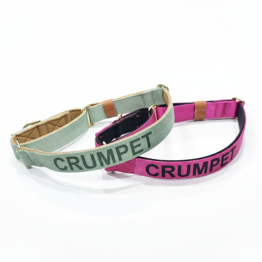 dog collars with names printed on them