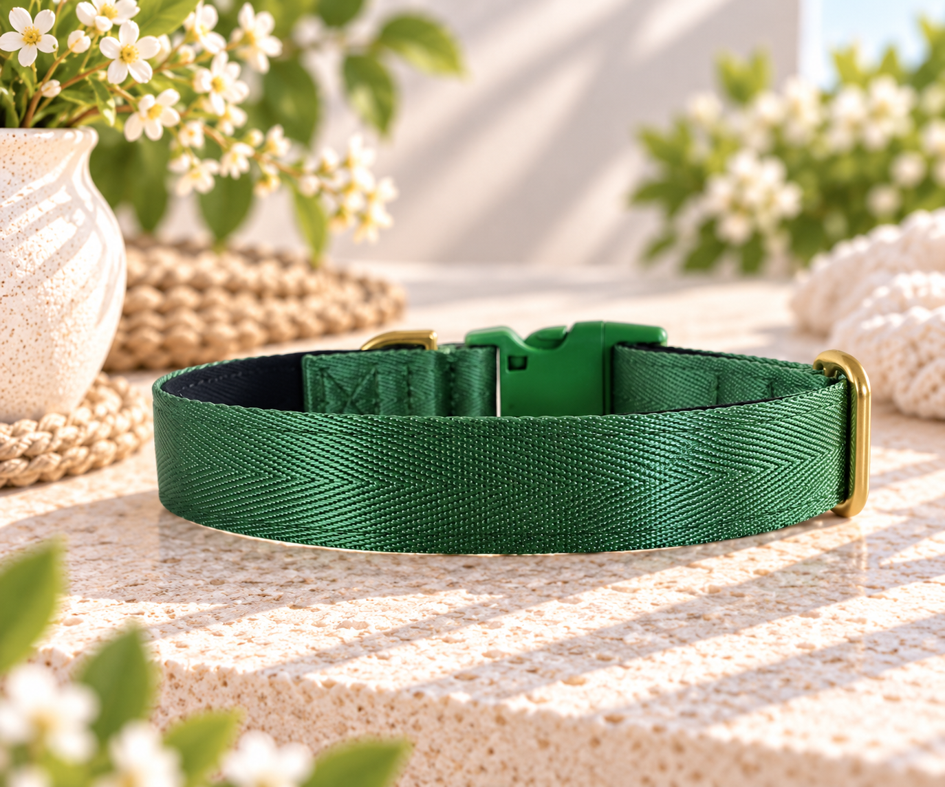 Green padded dog collar with buckle - Optional name dog collar