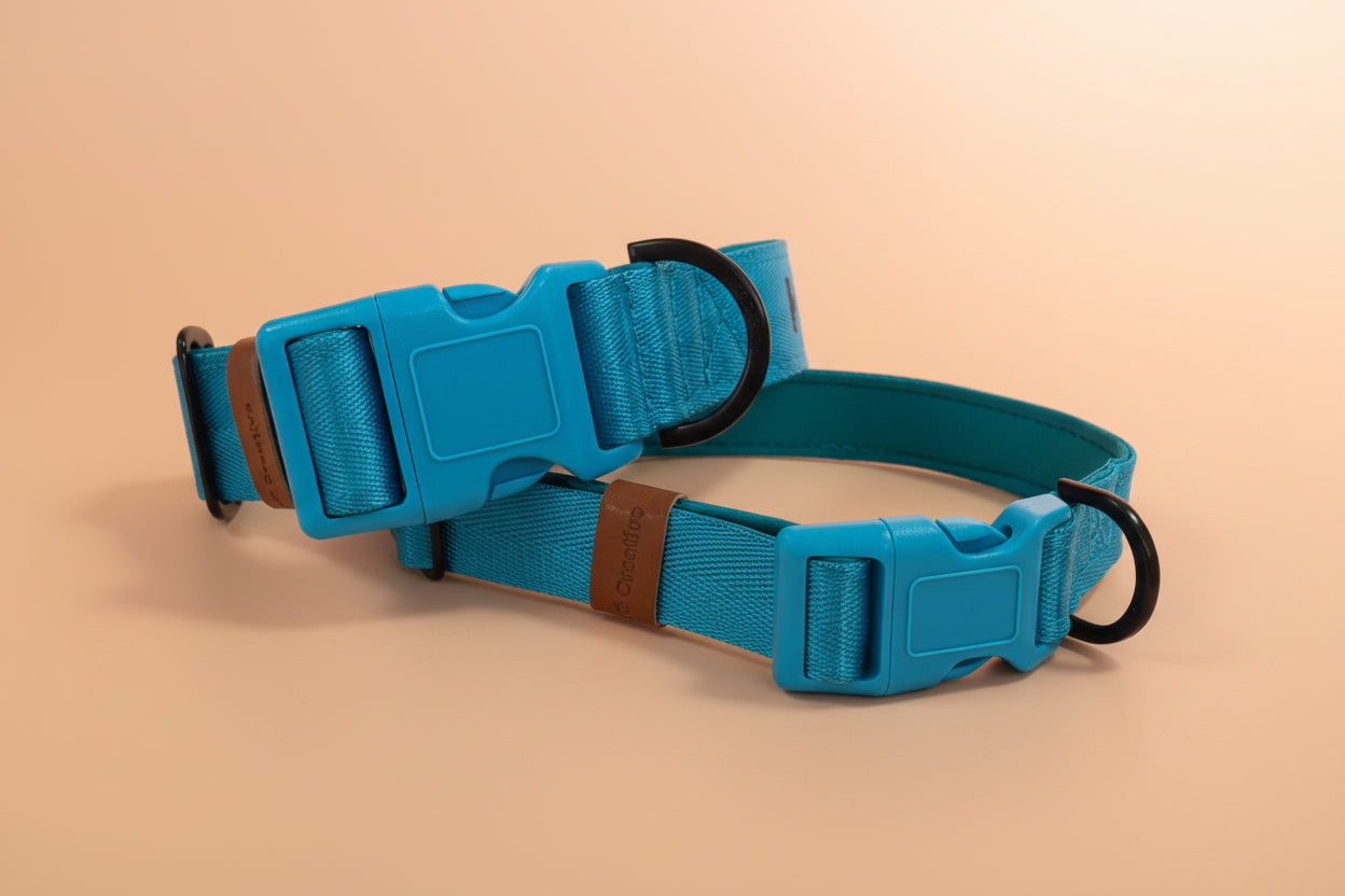 Two blue dog collars