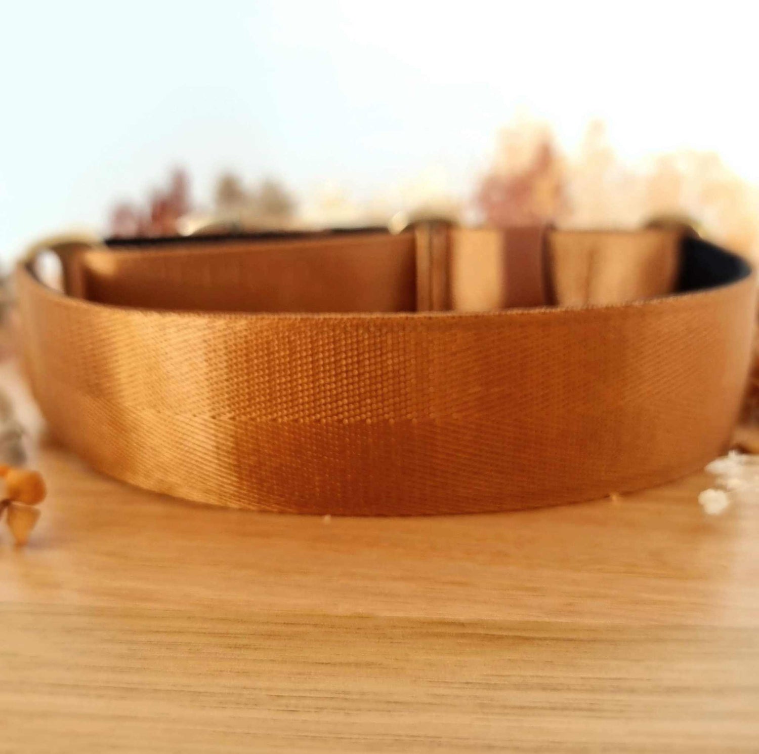 easy to clean martingale collar