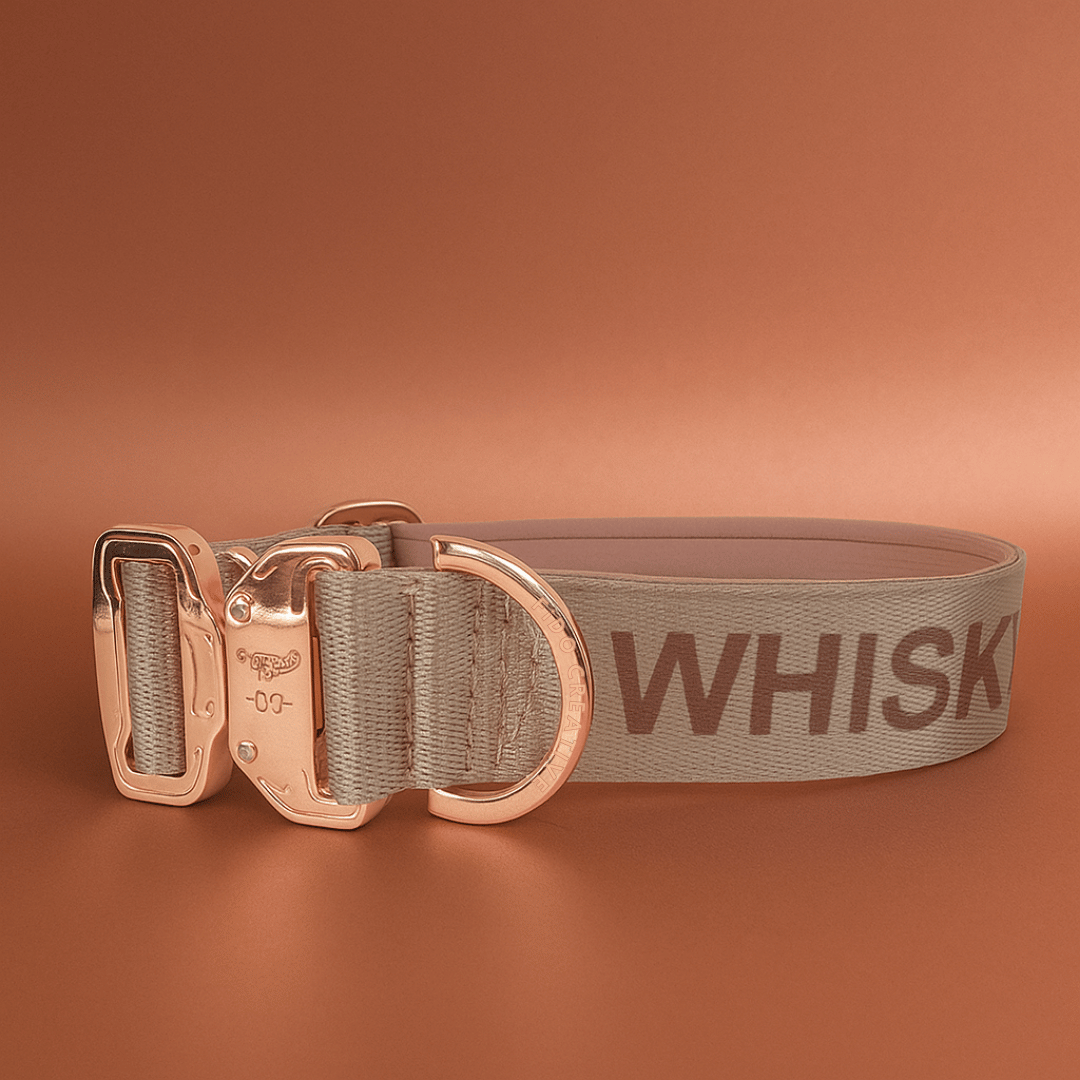 Light Beige Dog Collar with Neoprene Padding & Tactical Buckle – Optional personalised Name