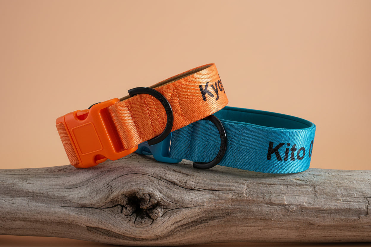 Orange and blue dog collars with names printed on them