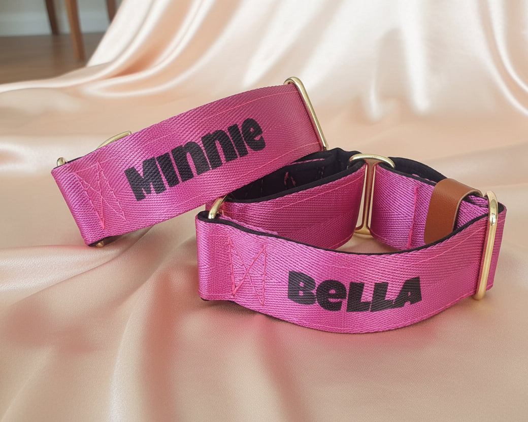 Two pink dog collars with 'Minnie' and 'Bella' names printed on them