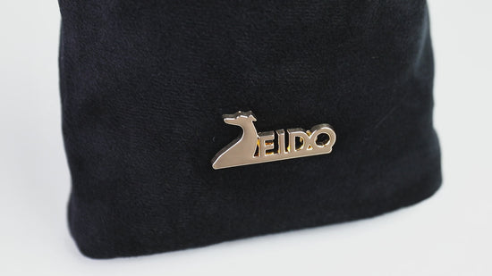 Dog treat pouch for training 