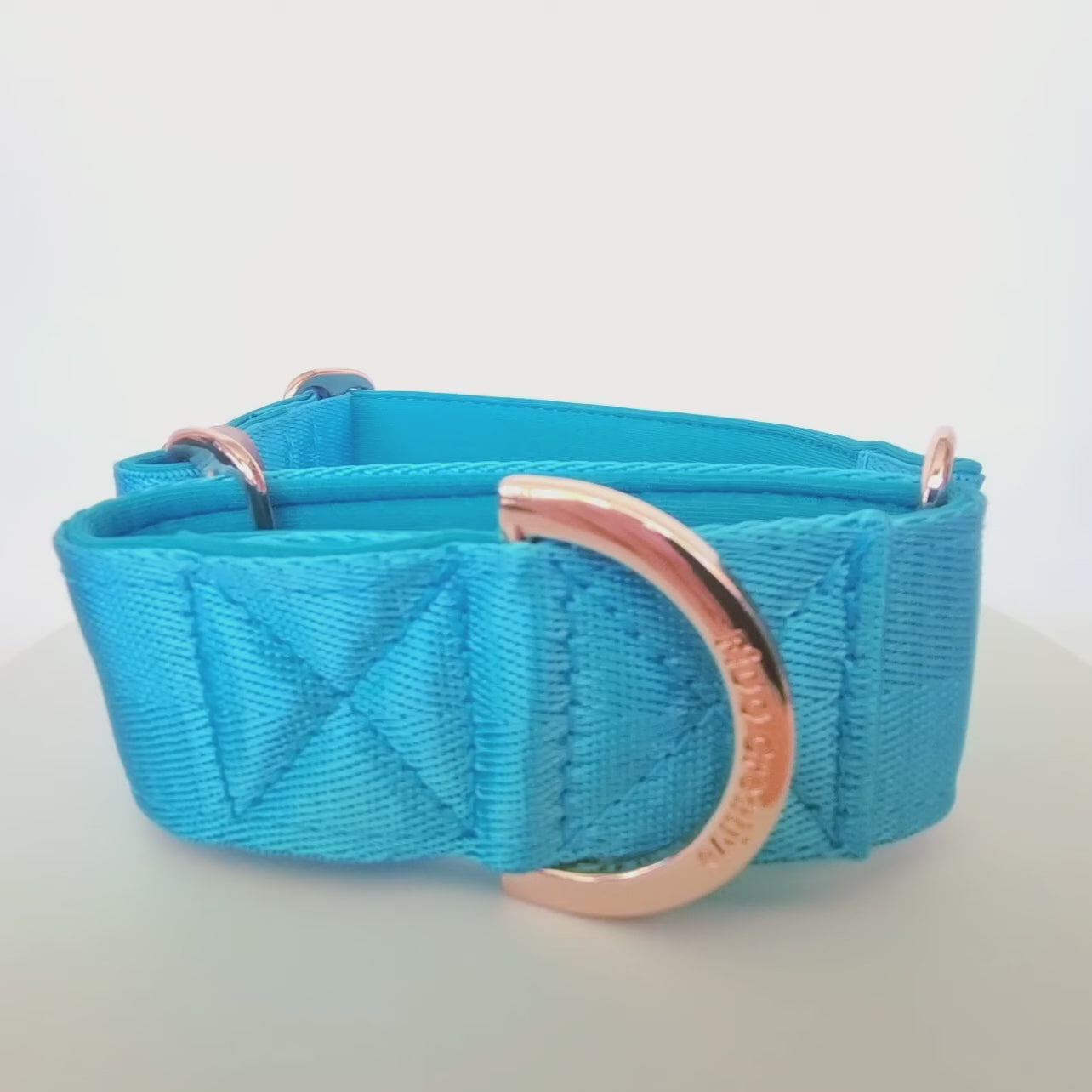Blue whippet collar
