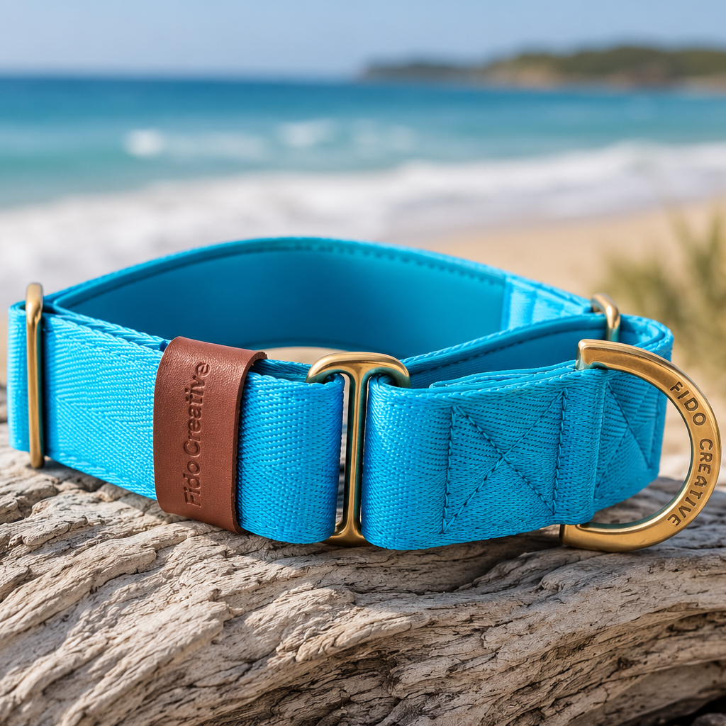 Bright blue Martingale Dog Collar – Padded, personalised with Dog’s Name Optional