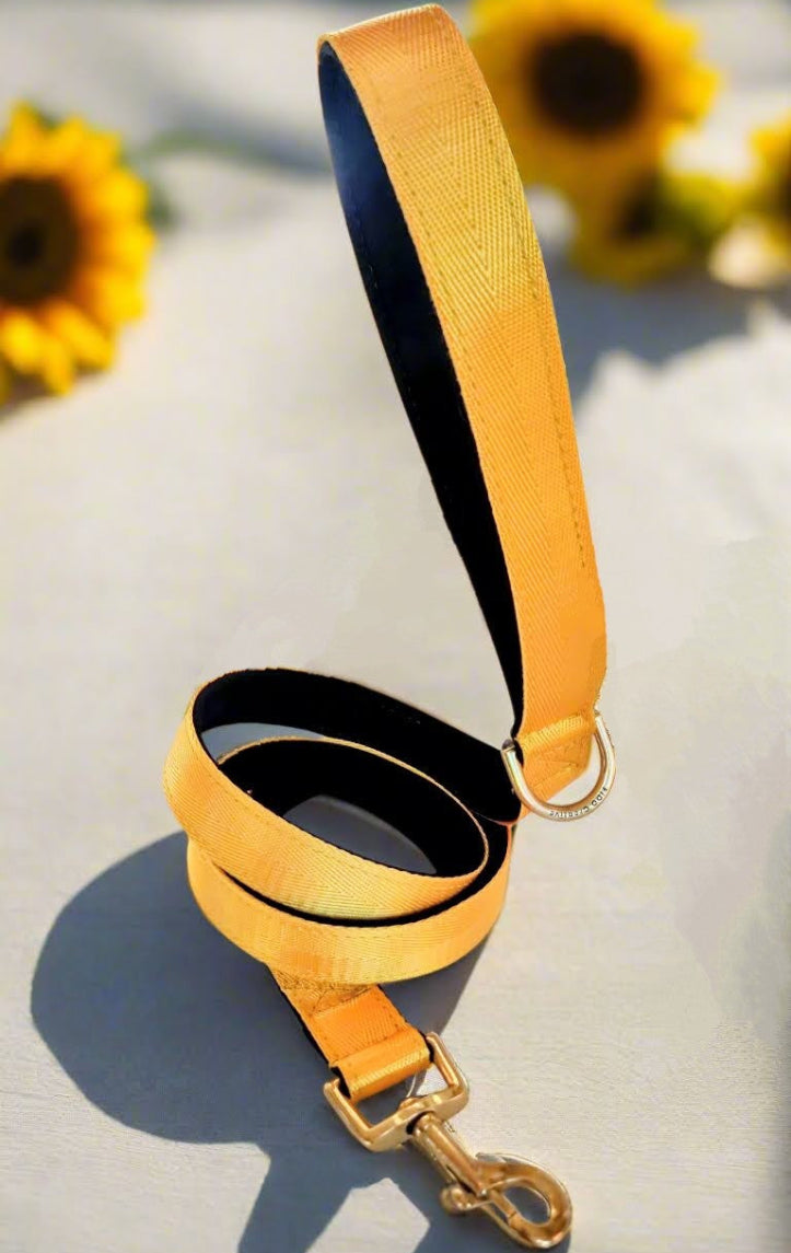 Yellow Dog Leash 