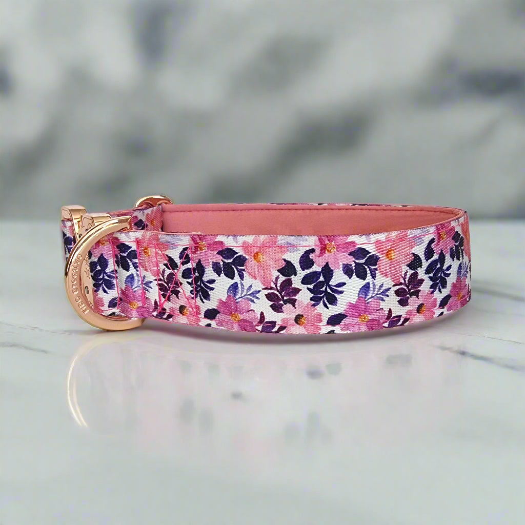 Floral dog collar with rose girl hardware 