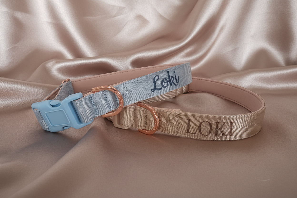 Light Blue Dog Collar with Neoprene Padding & Tactical Buckle – Optional personalised Name