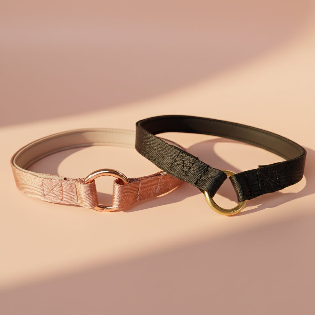 Clip Up House Collar, Padded for Comfort - Personalised Identification Dog Collar