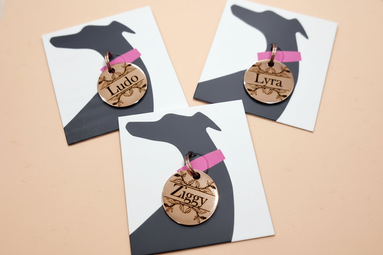 Three dog identification tags with 'Ludo', 'Lyra', and 'Ziggy' engraved on them, displayed on black and white card backgrounds.