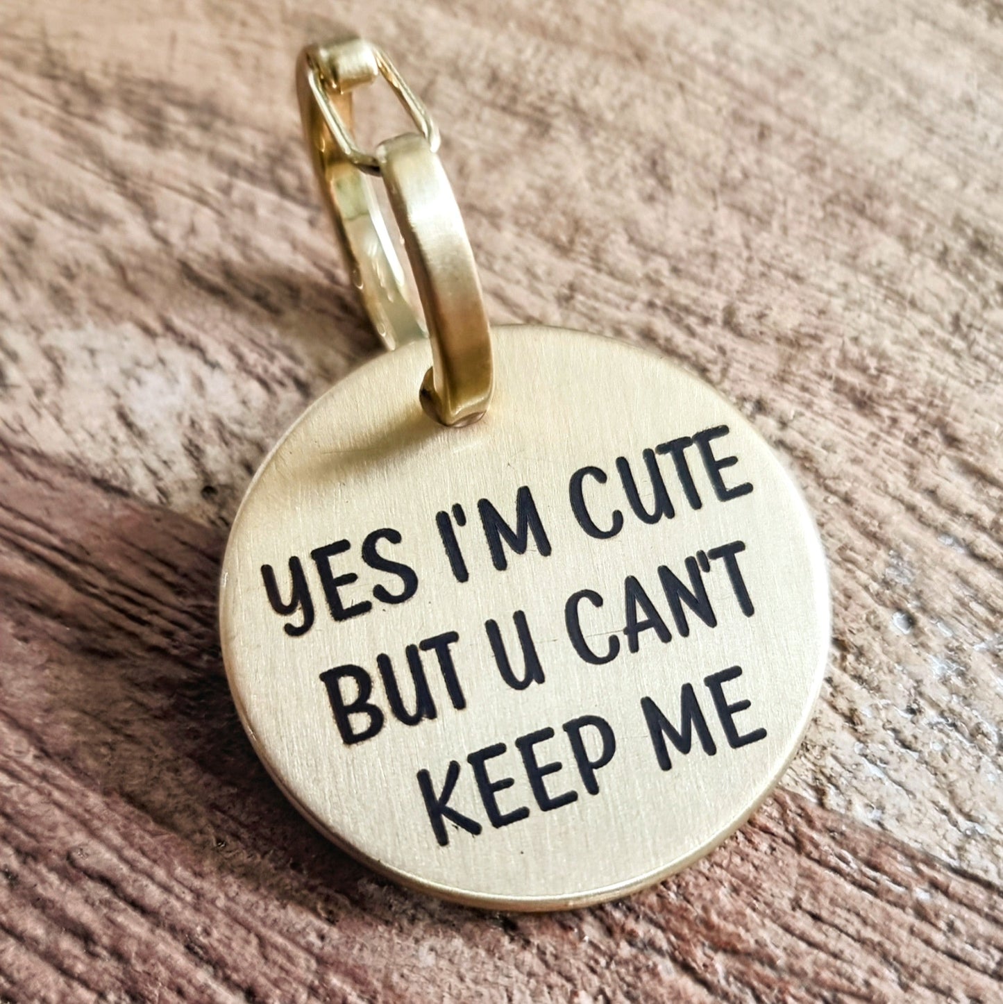 30mm Pet ID Tag - Yes Im cute