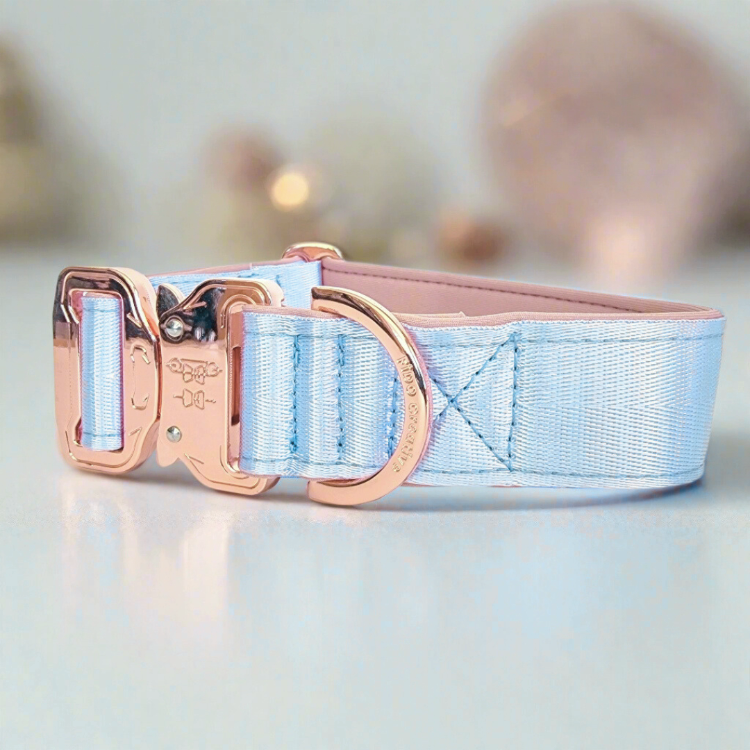Sky blue dog collar 