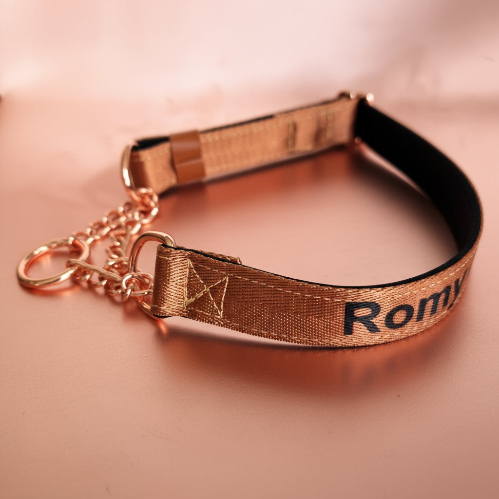 Chain Martingale Dog Collar – Adjustable and Padded