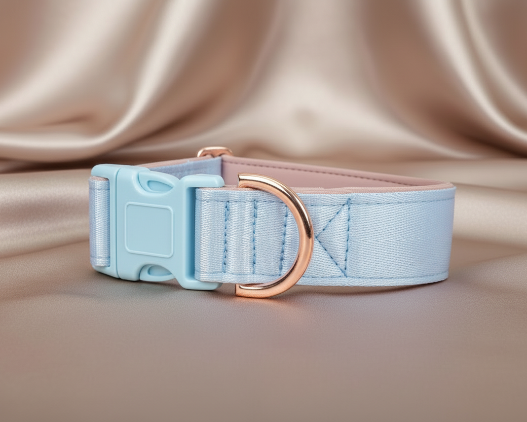 Dog collar with a light blue buckle and rose gold