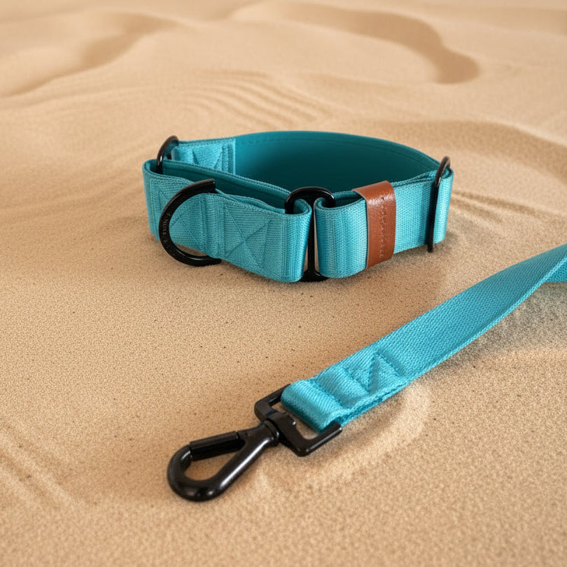 Bright blue Martingale Dog Collar – Padded, personalised with Dog’s Name Optional