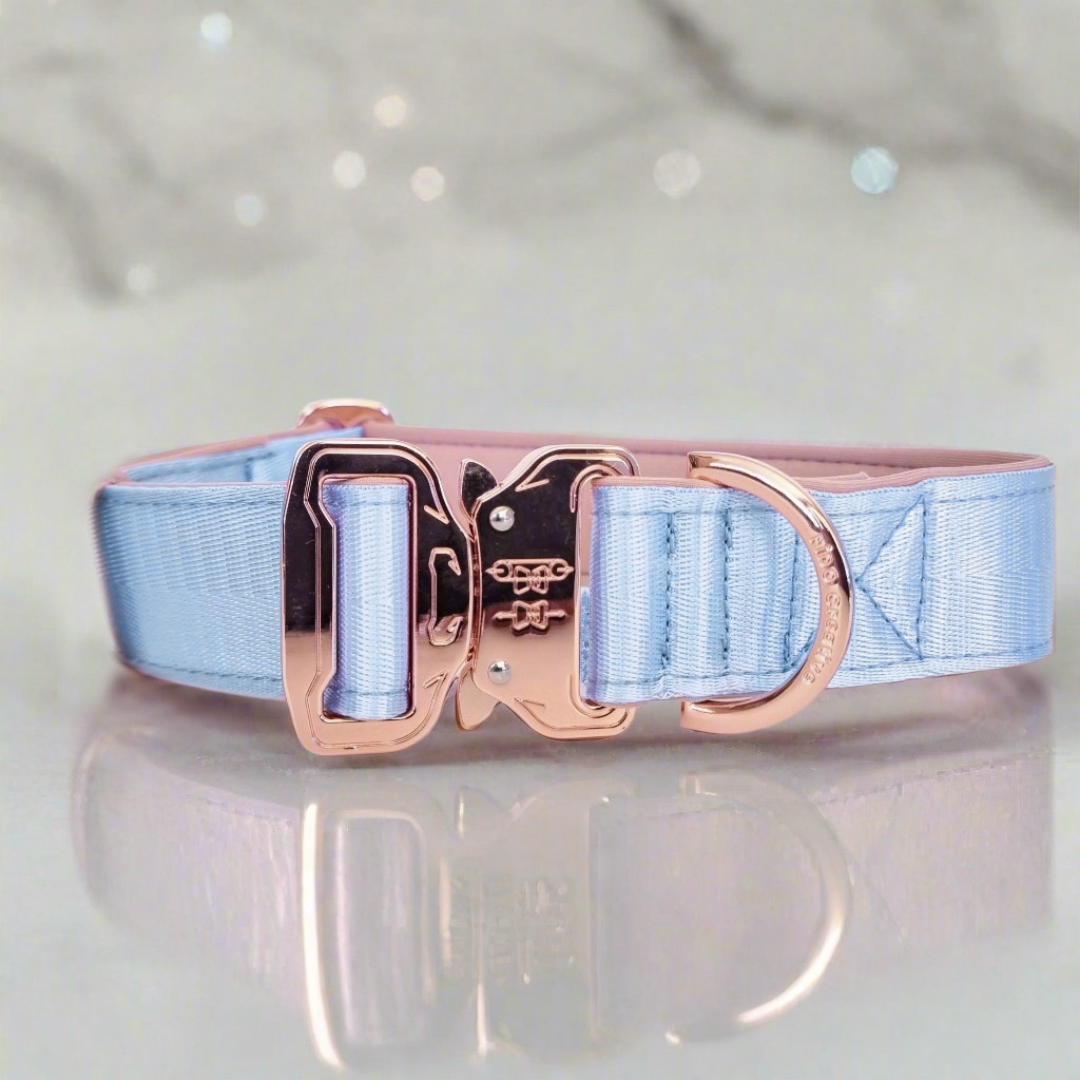 Light blue dog collar 
