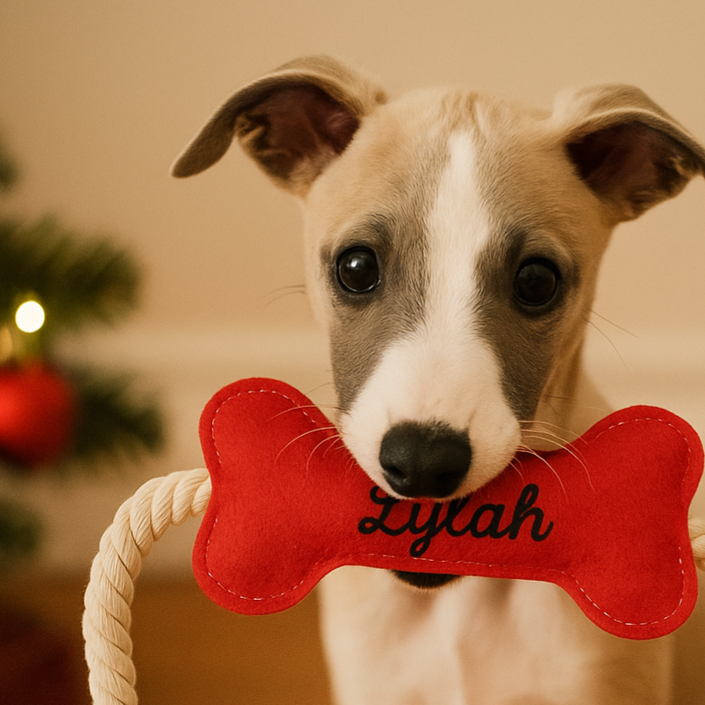 Personalised Felt Dog Toy | Red Bone Tug Rope Toy for Dogs | Custom Dog Gift